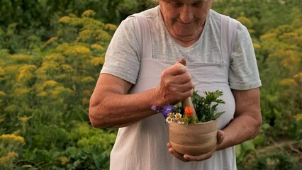 Wall Mural - Grandmother with medicinal herbs. Selective focus.