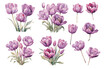 © Dgillustration12u - watercolor purple tulip clipart for graphic resources