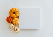 Empty Picture Frame With Autumn Pumpkin Decor On White Wooden Floor. Thanksgiving Minimal Flat Lay Podium Background. Halloween Table Top View. Flat Lay.