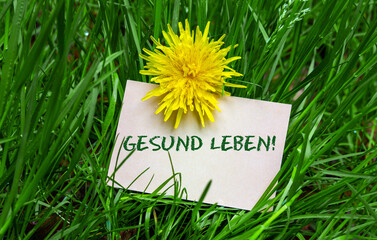 Sticker - Gesund leben