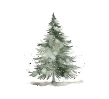 Christmas Tree In Trendy Farmhouse Style. Watercolor. Vector Illustration Design.