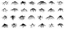 Tree Roots Silhouette Collection. Set Of Black Tree Roots Silhouettes. Tree Root Logo Collection