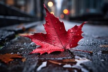 Close-up Of A Crimson Maple Leaf Delicately Resting On A Wet, Cobblestone Pathway In An Urban Park. Raindrops Glisten On The Leaf's Surface, Reflecting The Muted City Lights And Distant Skyscrapers
