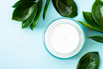 Wall Mural - natural cosmetic, cream jar with green leaves on blue. flat lay with copy space.