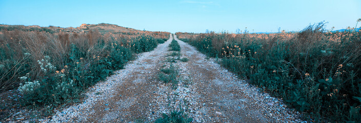 Wall Mural - road in the field