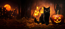 Halloween Black Cat With Pumpkin In Spooky Dark Forest. Copy Space For Text Or Product Display.