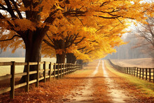 A Tree-lined Dirt Road In The Fall. The Trees Are Tall And Have Bright Yellow Leaves. The Road Is Lined With A Wooden Fence On Both Sides, Field