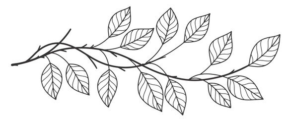 Wall Mural - Outline vector illustration of branch of a tree