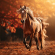 caballo marrón al galope en otoño sobre campo cubierto de hojas, rodeado de árboles y natuzaleza