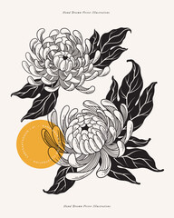 Poster - Two opened buds of white chrysanthemum on a light background. Tattoo sketch. Garden flowers, vector illustration. Botanical illustration for floral design of invitations, cards.