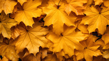 Yellow Leaves Are Scattered On The Ground In A Pile Generative AI