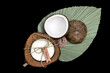 Świeczka ekologiczna zapachowa kokos na zielonym liściu na czarnym tle