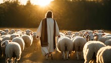 Bright Sunlight Shines On Shepherd Jesus Christ Leading Sheep And Praying To God In A Field