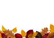 composition of autumn colorful leaves on a white or invisible png background copy space vertical poster composition