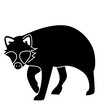 raccoon dog of wild animal solid icon set