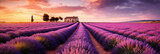 Fototapeta  - photography place with beautiful purple lavender fields at sunset.generative ai