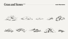 High Detail Hand Drawn Vector Illustration Of Grass And Stones, Realistic Drawing, Sketch