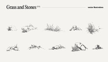 High detail hand drawn vector illustration of grass and stones, realistic drawing, sketch