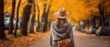 © mariyana_117 - seen back view focusing on a stylish woman's slingbag hanging from her knit scarf, her autumnal fashion ensemble softly defocused