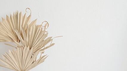 Wall Mural - Dried beige palm leaves on empty neutral white wall background. Floral aesthetic boho composition