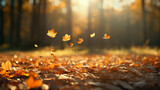 Fototapeta Natura - leaf fall in the autumn park in the sunlight, dry yellow leaves fly in the landscape of warm October
