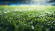 Leinwandbild Motiv green grass bottom view of a football stadium in the rain