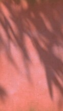 Vertical Shadow Of Palm Tree Leaves Moving Gently In The Wind On Faded Pink Orange Concrete Wall Background, Backdrop	