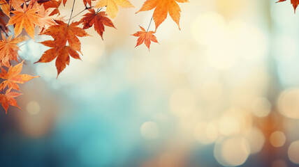maple leaves on abstract blurred background with bokeh copy space, light bright autumn background fo