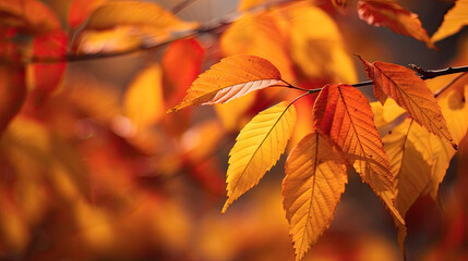 Wall Mural - Autumn leaves background. Generative Ai