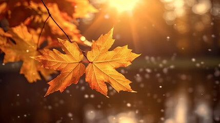 Wall Mural - Autumn leaves on the sun and blurred trees for fall background. Generative Ai