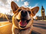 Fototapeta Fototapeta Londyn - A cute dog smiles while taking a selfie in front of Big Ben Tower