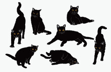 Cute Cartoon Black Cat Set	