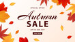 Autumn sale banner. Autumn leaves background for shopping sale, special offer. Promo poster, shopping website template. Vector illustration