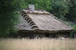 Stary dom pokryty strzechą