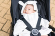 ベビーカーにのる日本人の赤ちゃん