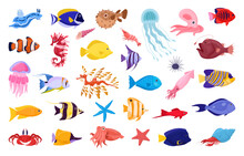 Exotic Sea Animals. Cartoon Tropical Underwater Fish, Jellyfish And Seahorse, Saltwater Creatures Flat Vector Illustration Set. Tropical Ocean Fauna