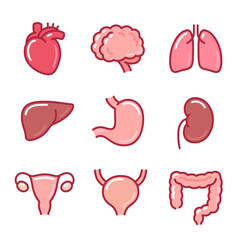 Canvas Print - Internal organs cartoon icon set