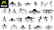 Collection of 26 root illustrations. Each black and white vector showcases the intricate details of various roots, perfect for educational materials, botanical studies, or artistic projects.