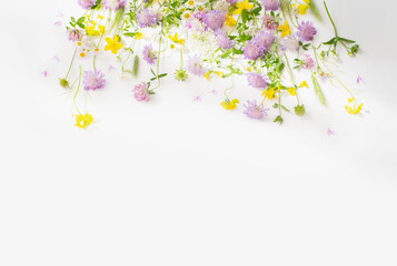 Poster - summer wild flowers on white paper background