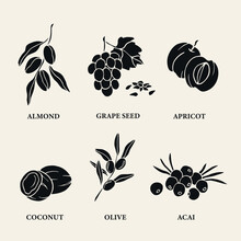 Flat Vector Cosmetic Oil Plants. Almond, Grape Seed, Apricot, Coconut, Olive, Acai