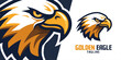 Golden American Eagle Mascot Illustration: Illustrated Logo and Vector Graphic for Sport and E-Sport Gaming Teams