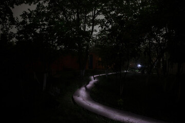 Wall Mural - mysterious pathway. footpath in the dark, foggy, autumnal, mysterious forest.