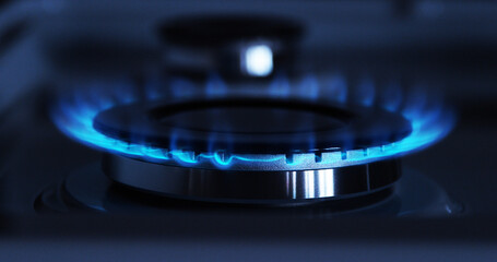 Wall Mural - Gas Stove Burners, Blue Flame