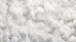 Fluffy Cotton flat texture