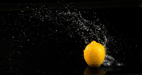 Wall Mural - Lemon Yellow, Citrus limonum, Fruit falling in water on Black Background