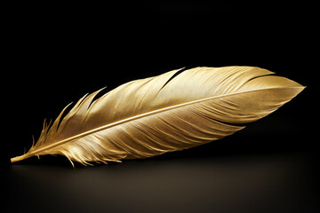 Wall Mural - close up of a golden feather