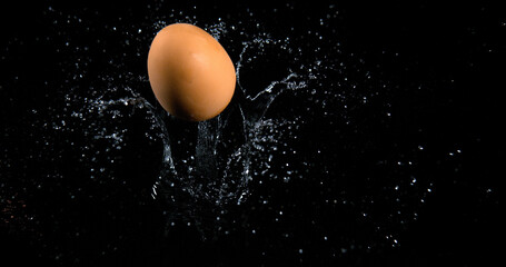 Wall Mural - Egg Falling on Water against Black Background