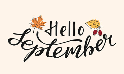 Hello september handwritten lettering text. Fall composition with hand drawn black inscription and linear leaves. Seasonal background with inspiration phrase
