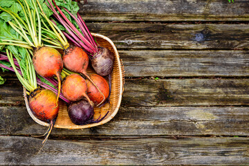 Wall Mural - Beetroots in wicker basket on wooden background. Ripe yellow, orange and purple beets.