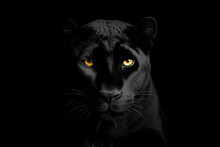 A Black Panther With Bright Yellow Eyes On A Black Background